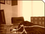 Lo studio